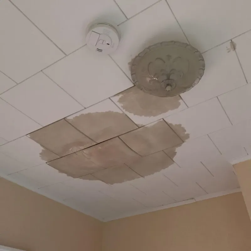 Ceiling Water Damage Repair in Creedmoor, NC
